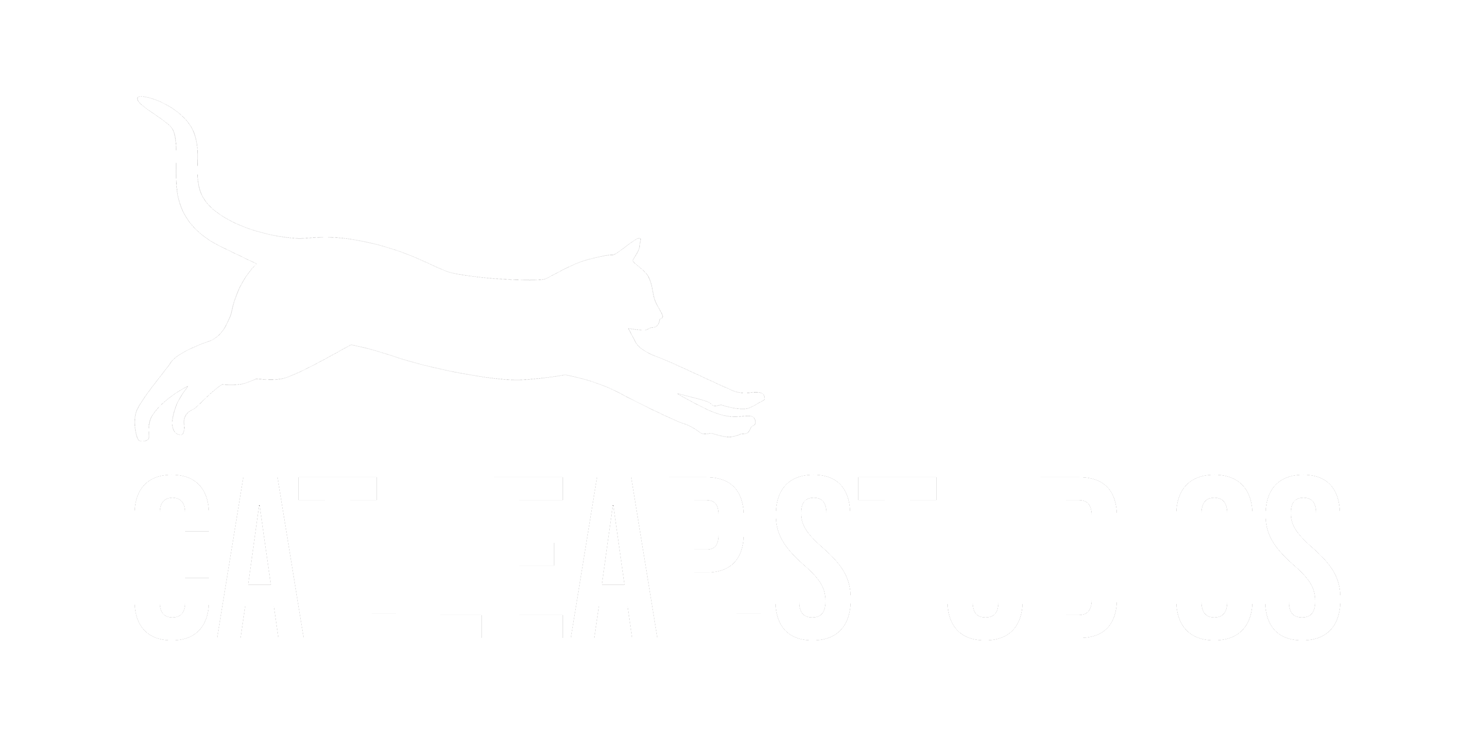 Página inicial do portal - Cat Leap Studios